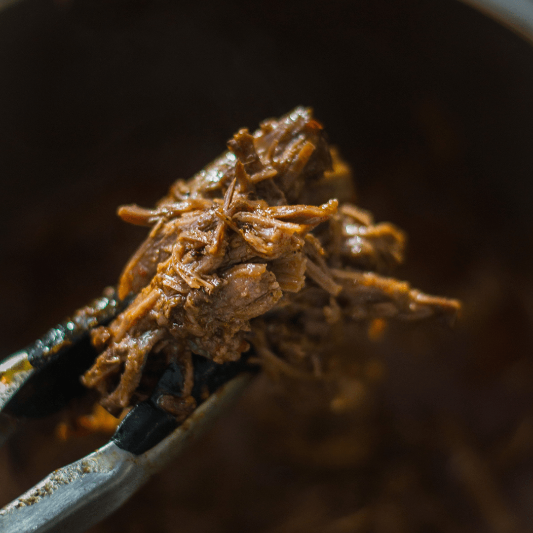 Slow Cooked Venison Recipe Instant Pot