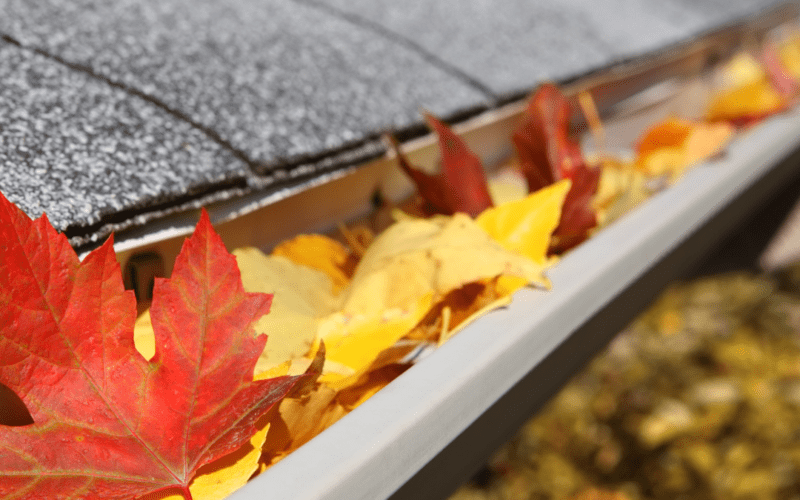 5 Home Maintenance Chores For The Fall